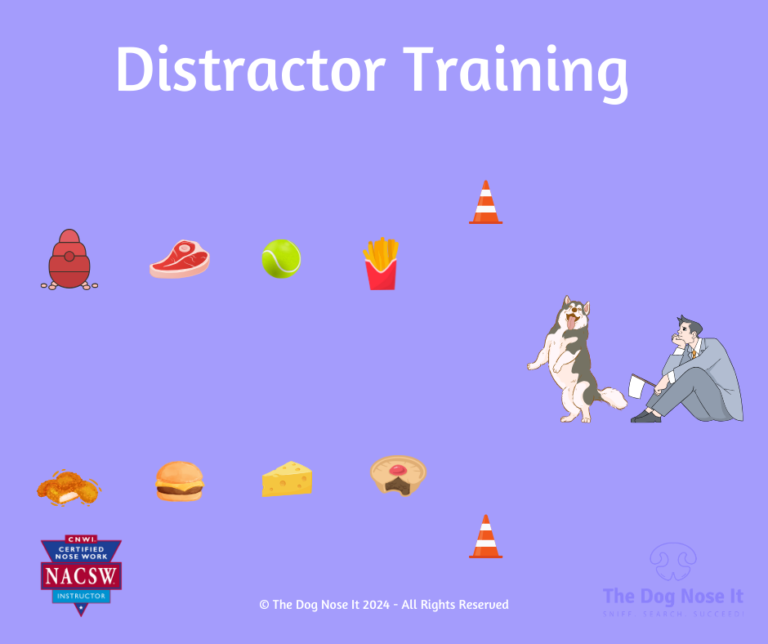 Skills Course | Distractors